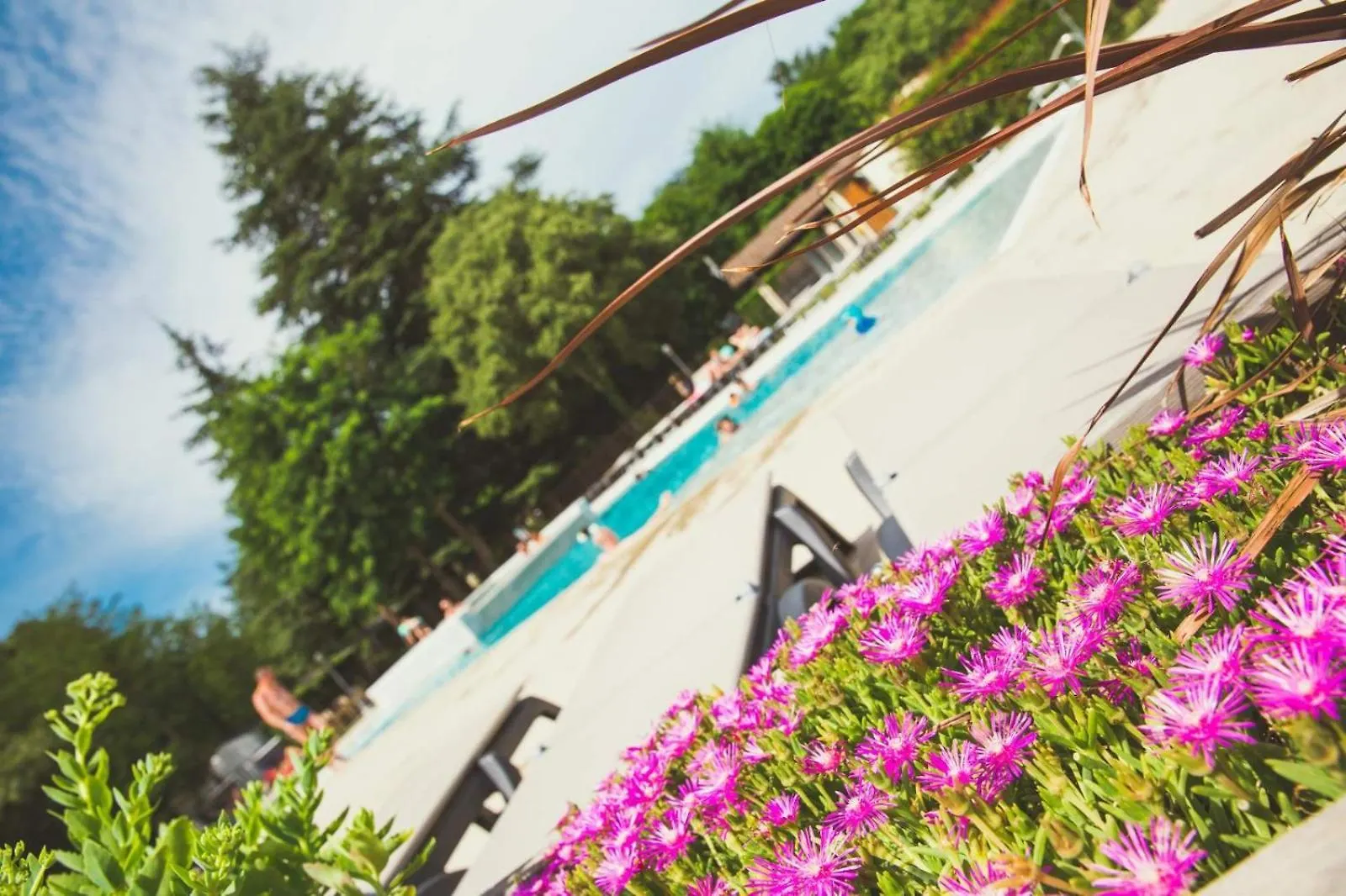 Campeggio Camping La Grand'Terre 4 Etoiles - Linge De Maison Inclus - Clim - Tv - Plancha - Lave-Vaisselle - 4 Personnes 2 Chambres Ruoms